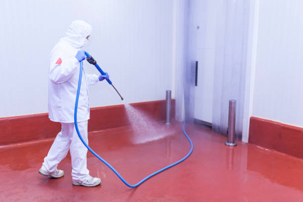 Reliable Castroville, CA Pressure Washing Solutions